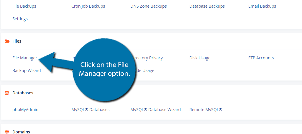 Use the File Manager to fix a critical error on your website