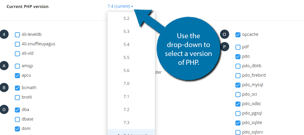 Select PHP Version