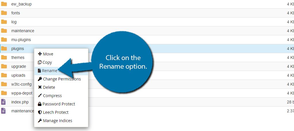 Rename the plugins file to fix the critical error on your website