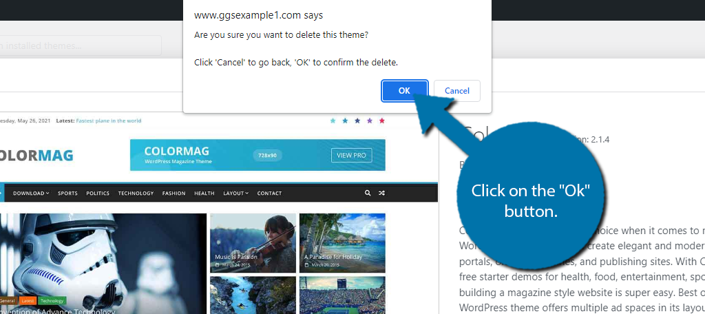Click OK button to delete WordPress themes