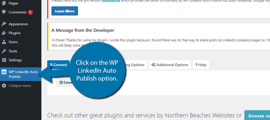 WP LinkedIn Auto Publish