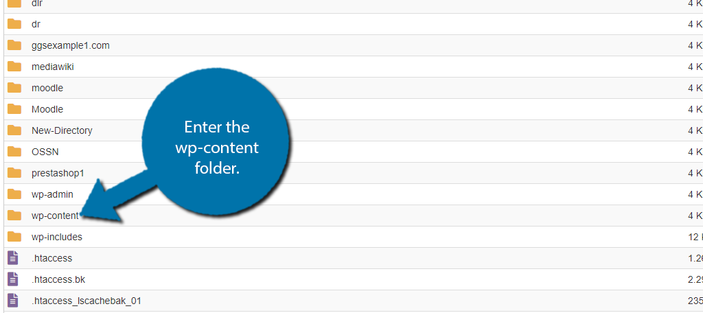 wp-content folder