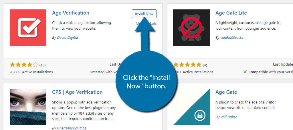 Install Age Verification in WordPress