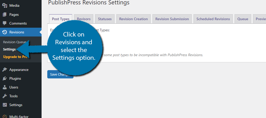 Revisions settings to configure how to update content