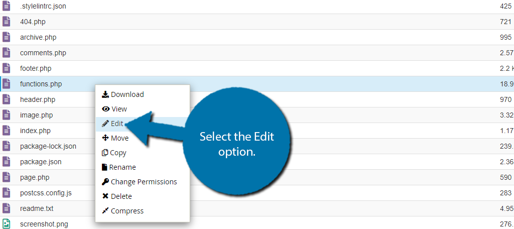 Click on the functions.php file and select the Edit option