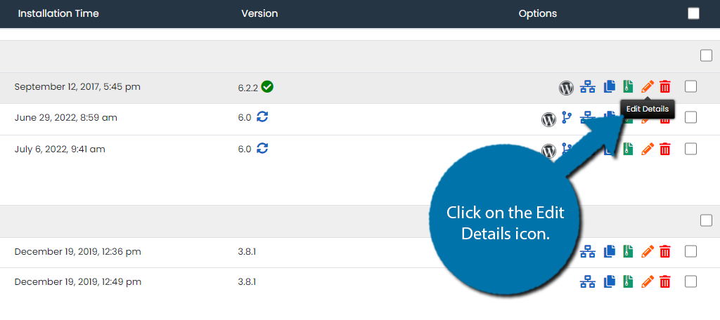 Click on the Edit Details icon to update WordPress plugins automatically