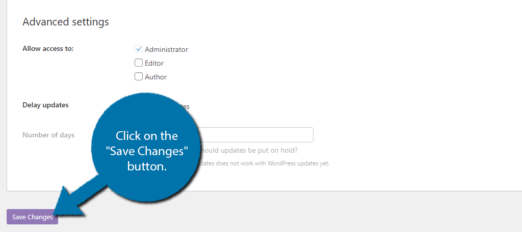 Save the changes to update WordPress plugins automatically