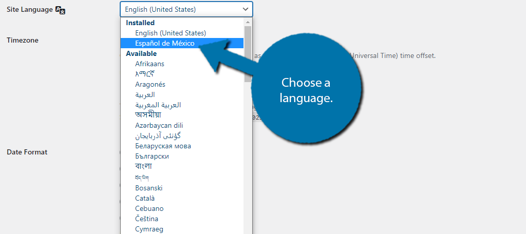 Choose Language