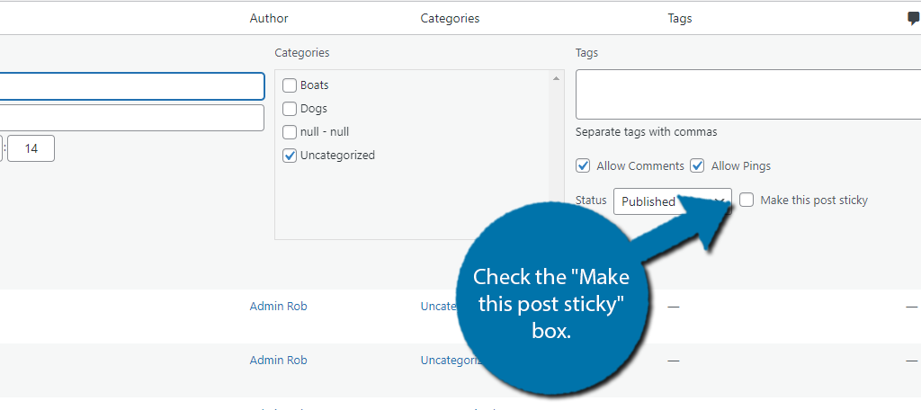 Sticky Post WordPress