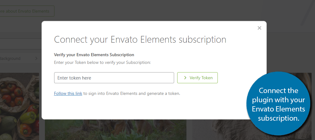 Connect Your Envato Elements subscription in WordPress