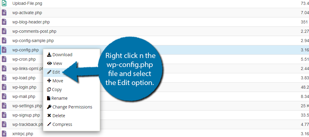 Edit wp-config file to limit post revisions in WordPress