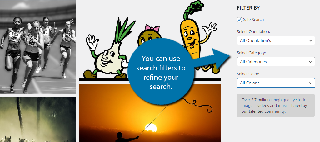 Search Filters