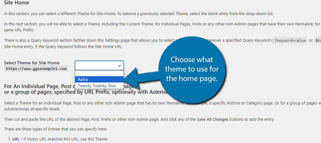 Choose between the themes you have in WordPress to build pages with