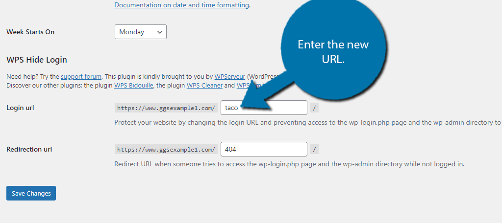 Enter a new WordPress login URL