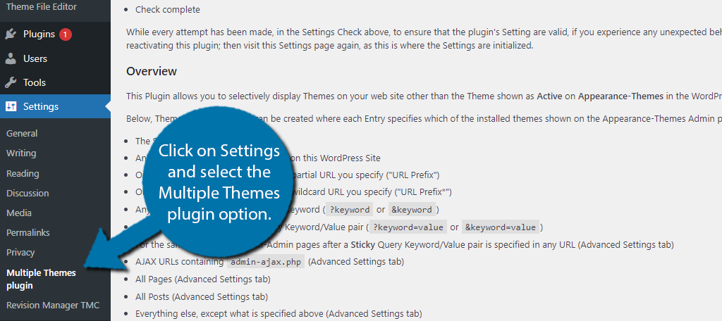 Multiple Themes Plugin