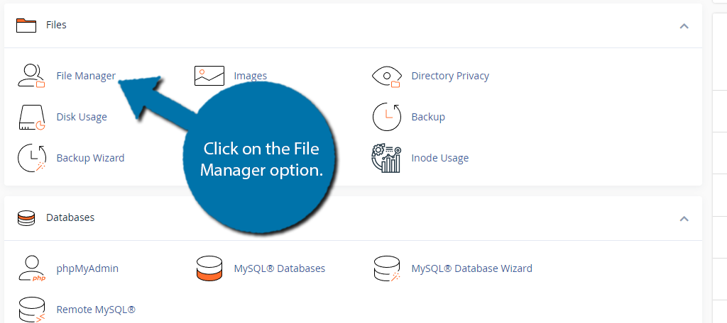 File Manager