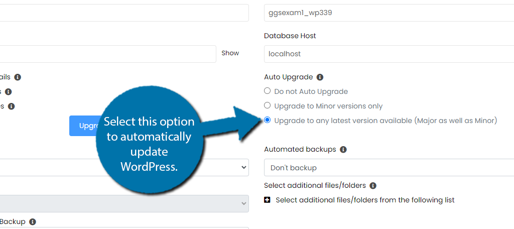 Update WordPress