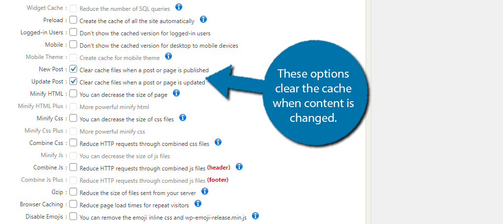 Clear Cache in WordPress