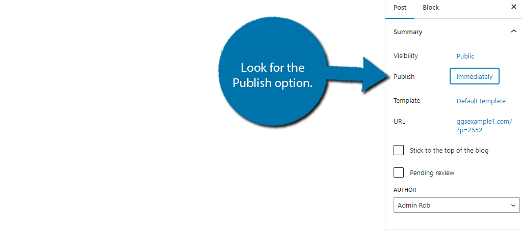 Publish option