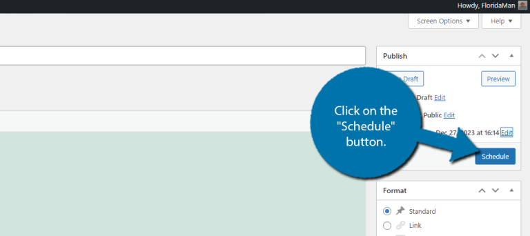 How to Schedule a Post in WordPress - GreenGeeks