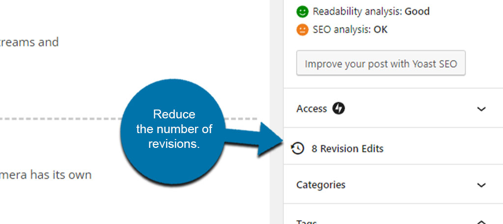 WordPress Revision Count