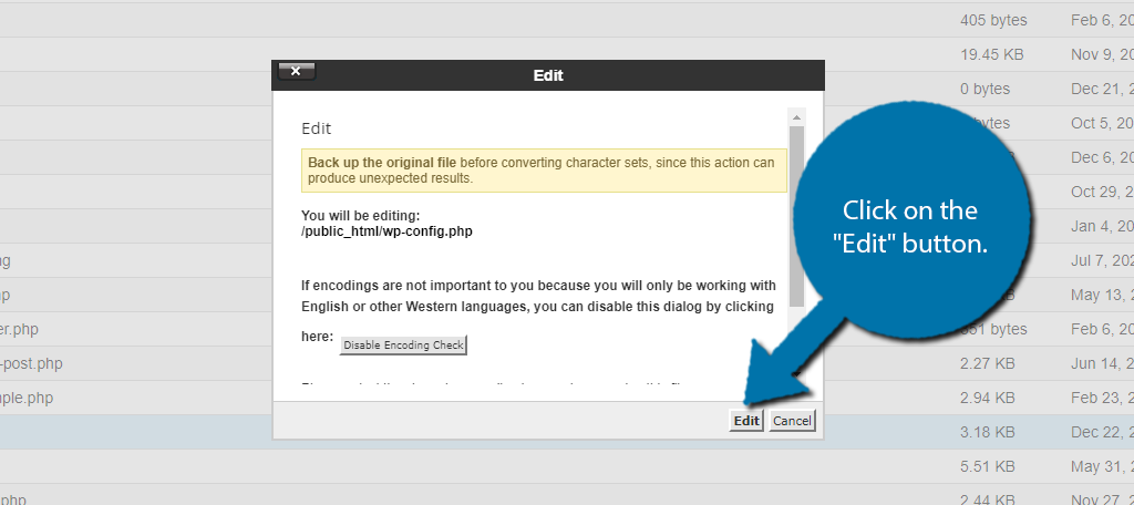 Edit the File to activate error logs in WordPress