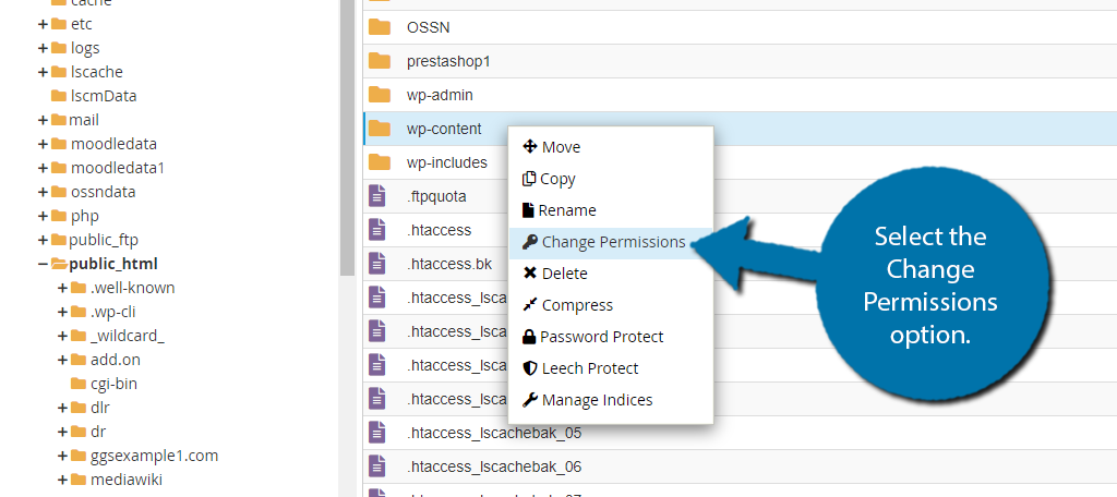 Change Permissions for File or Folder