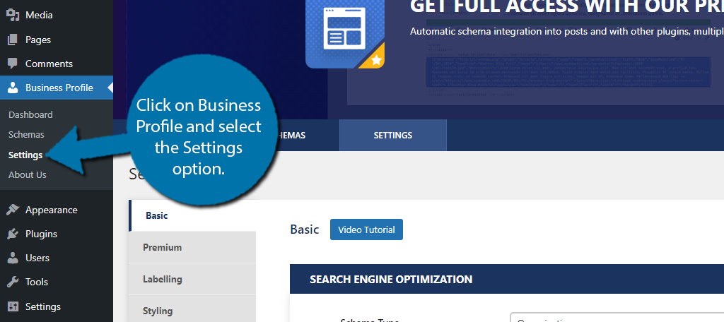 Business Profile in WordPress settings
