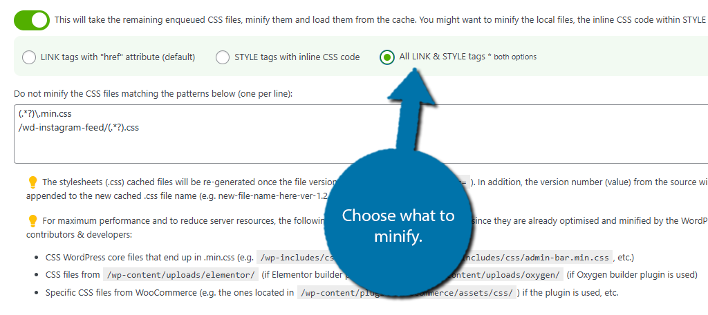 Choose what to minify