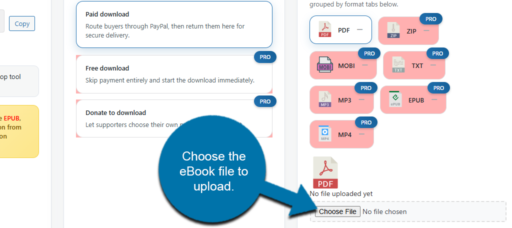 eBook File